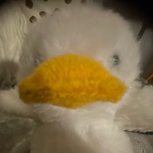 Meet your Posher, Zheng